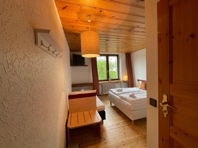 Standard Double room with balcony and with view