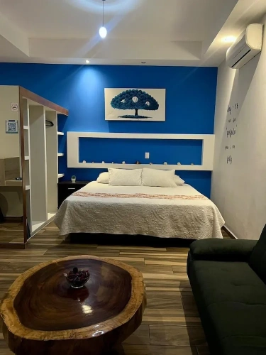 1 Bedroom Premier Studio with garden view