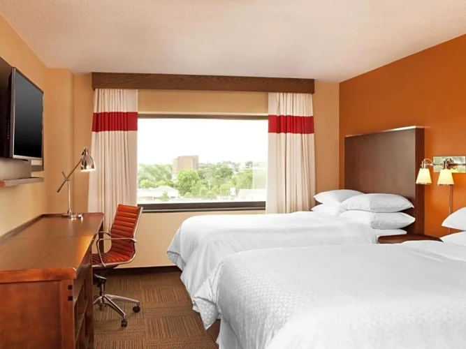 1 Bedroom Double Suite