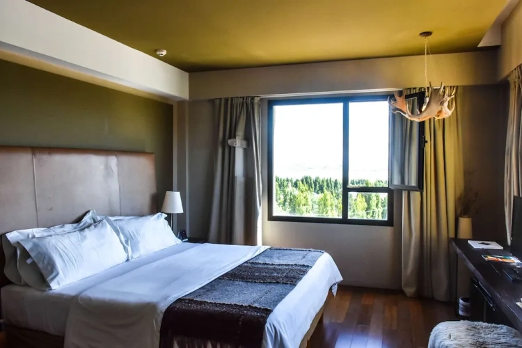 Concept Double room with lake view
