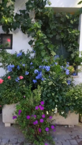 Casa Rural Francisca