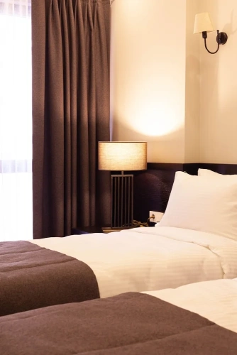 Deluxe Suite with city view
