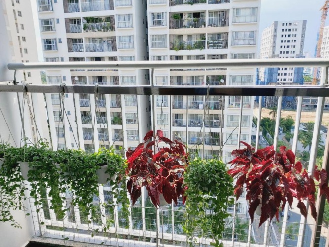2 Bedrooms Apartment