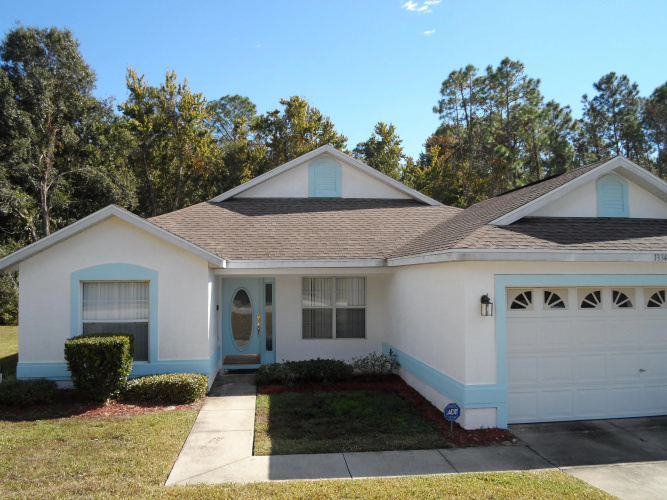 Disney Area Standard Homes