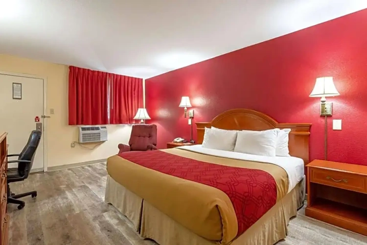1 Bedroom Suite