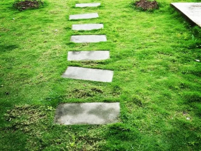 Outside