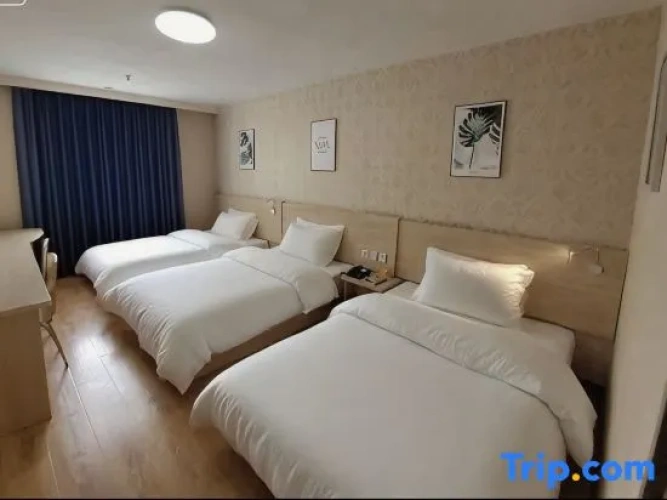 Standard Triple Suite