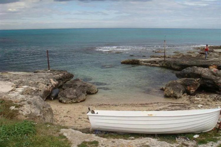 Sea Home