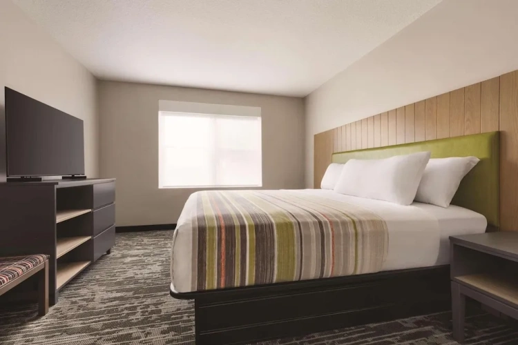 1 Bedroom Suite