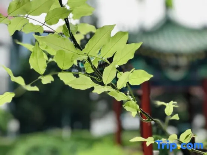 Huyuan Hotel