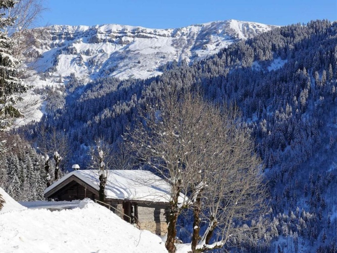 Chalet