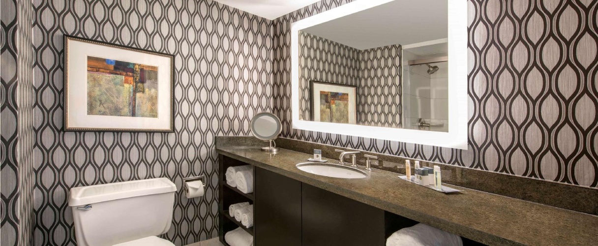 DoubleTree by Hilton Chicago Schaumburg photo 11