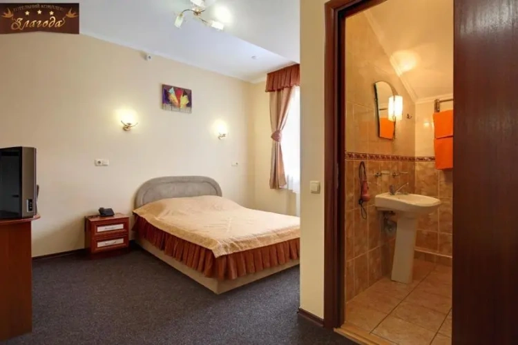 Standard Double room