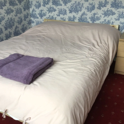 Standard Single room with garden view