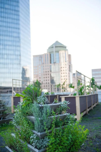 Ritz-Carlton Charlotte photo 23