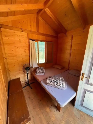 Social Camping JAL