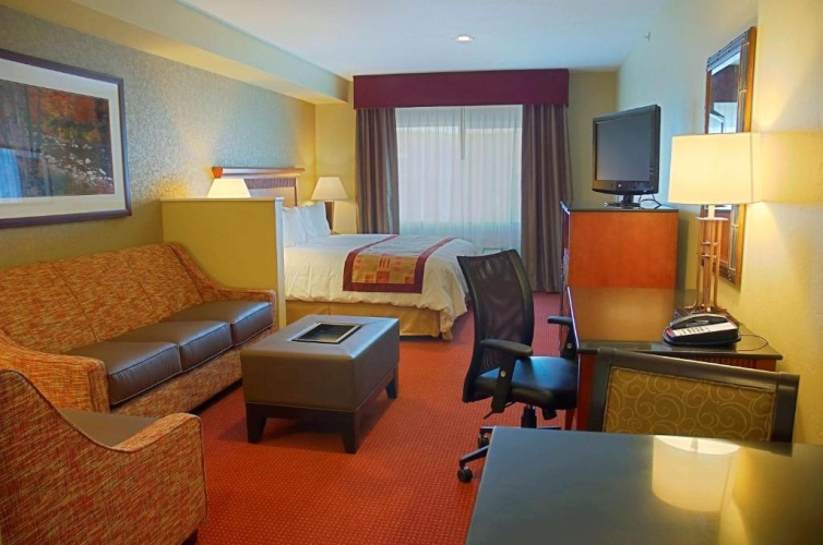 Suite