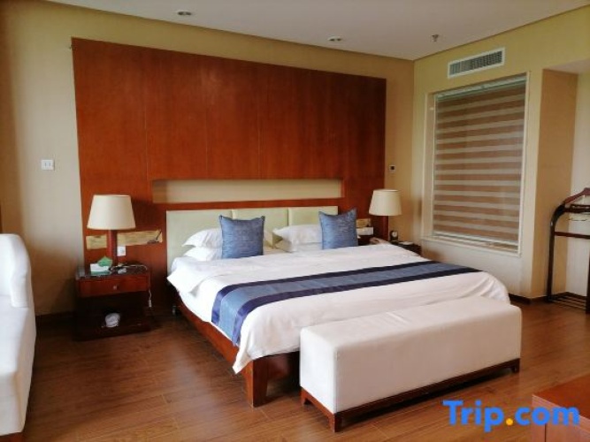 Comfort Suite