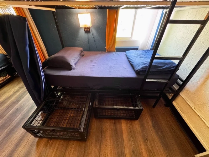 Bed in Dorm (female dorm)