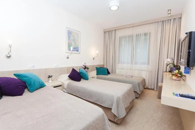 Standard Twin room with view