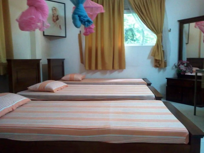 Standard Double room with balcony and with view