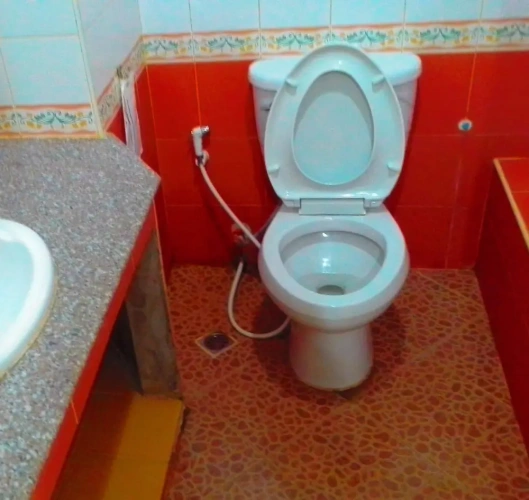 Standard Villa