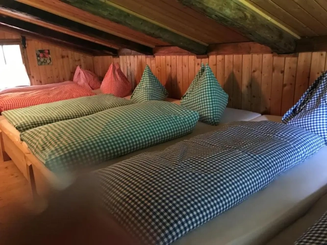 Bed in Dorm