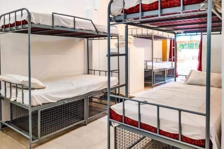 Piggy Hostel Calangute