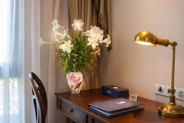 Deluxe Double room with city view