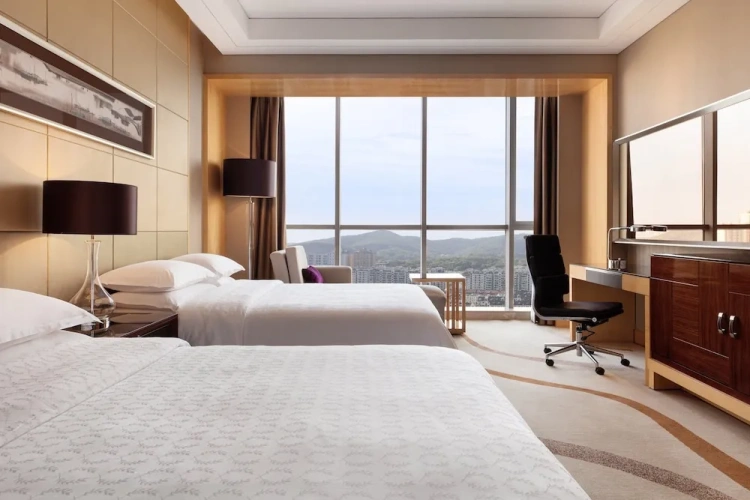 Standard Twin Club room