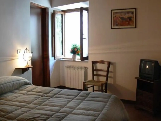 Standard Single room with view