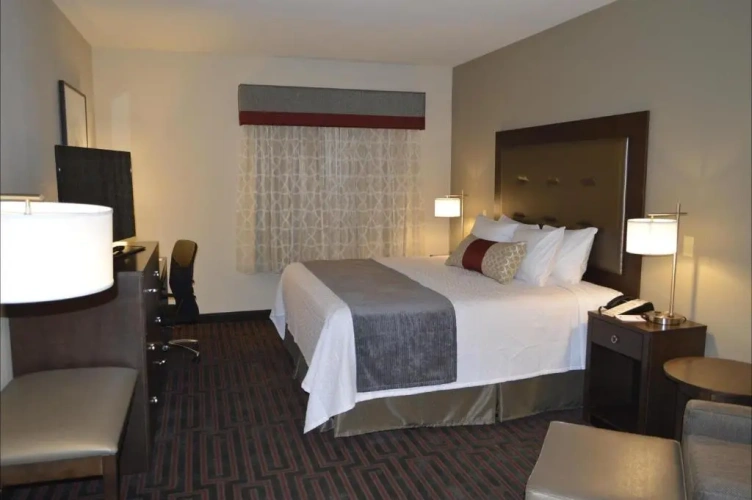 1 Bedroom Executive Double Suite