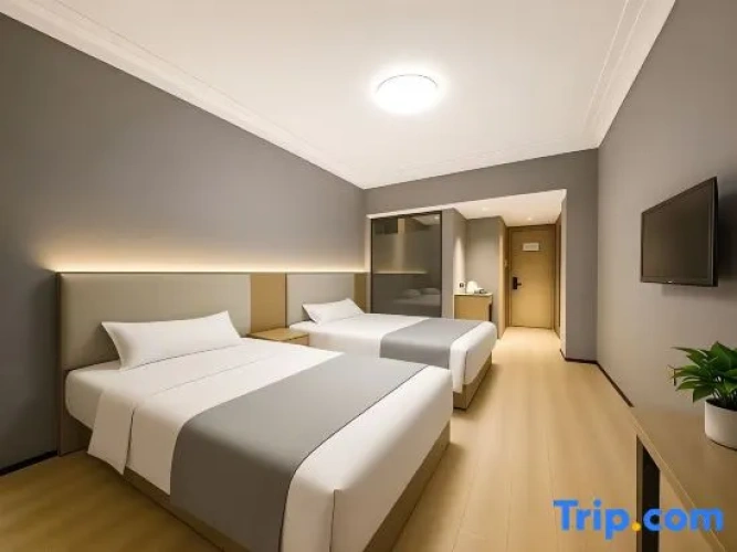 Deluxe Twin room with garden view