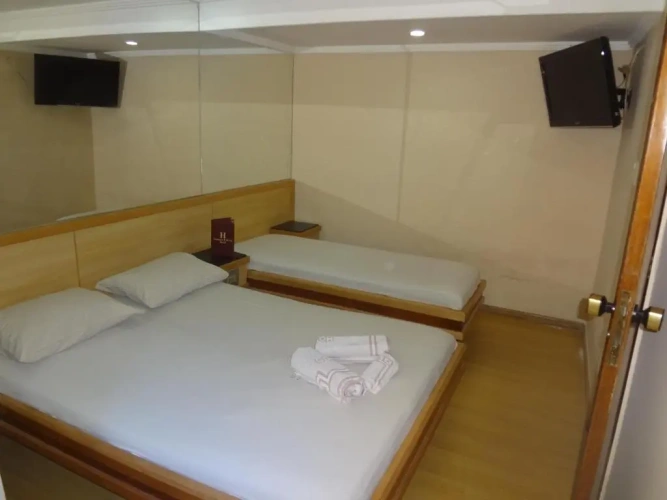 Deluxe Triple room