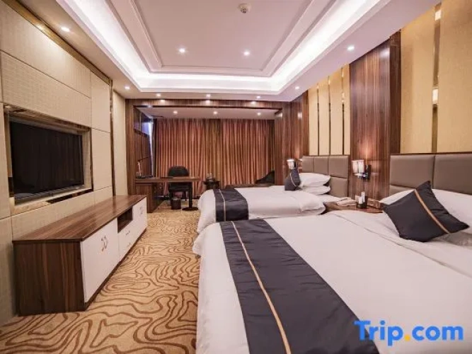 Premier Twin room with city view