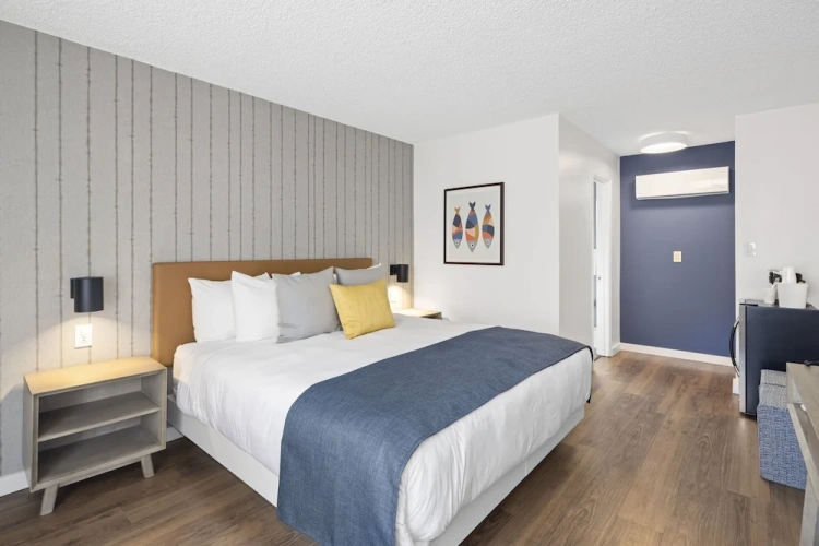 Standard Double Basement room