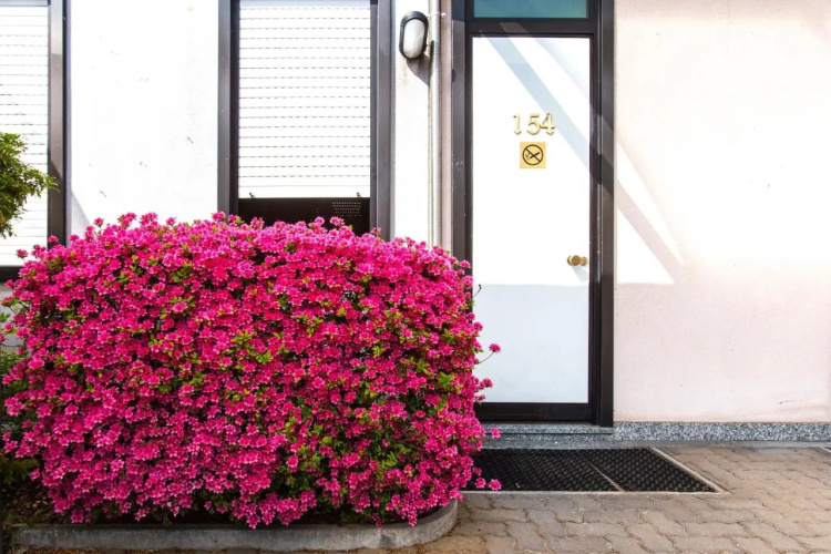 Airport Hotel Motel Malpensa