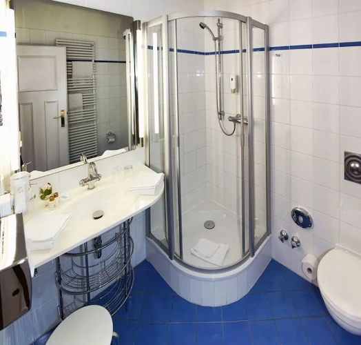 Deluxe Double room with balcony and with garden view