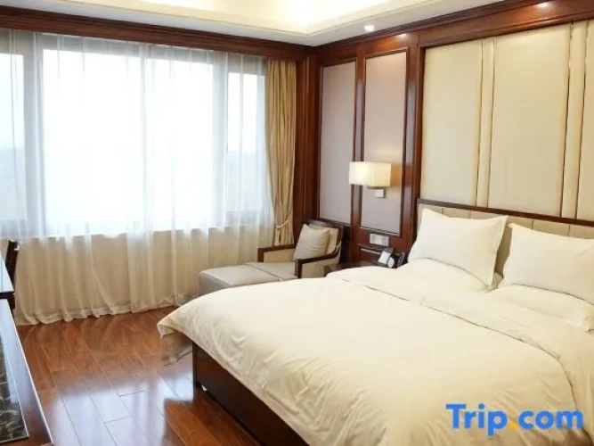 Standard Single room with garden view