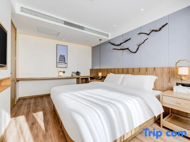 1 Bedroom Executive Suite