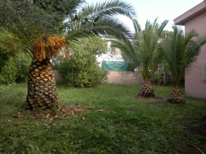 Outside