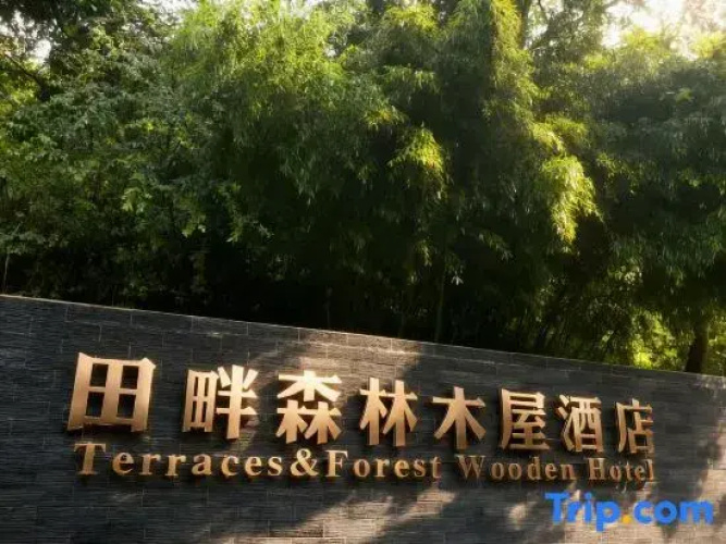 Terraces&Forest Wooden Hotel