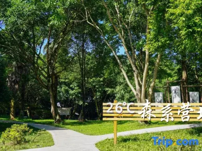 Emei Mountain Hot Spring Hotel