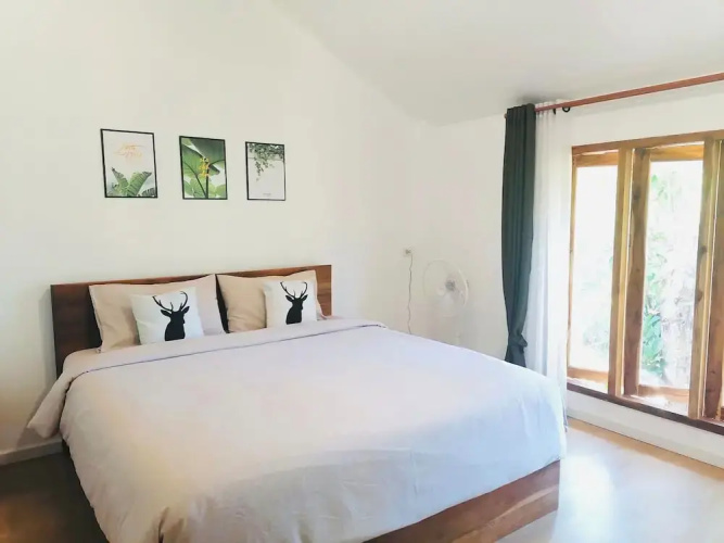 Jungle guest house