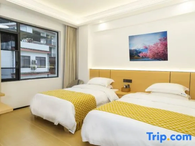 Standard Twin room with mountain view