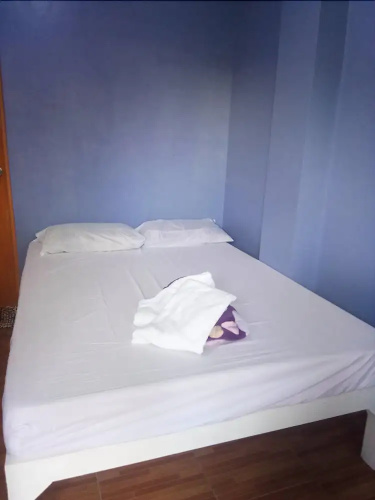 Purple Guesthouse