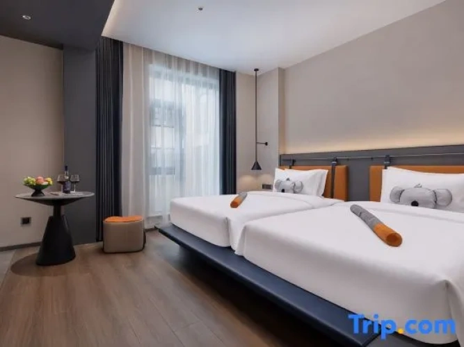 Standard Twin room with city view