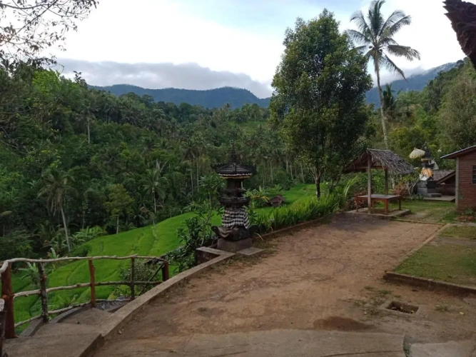 Bungalow with garden view