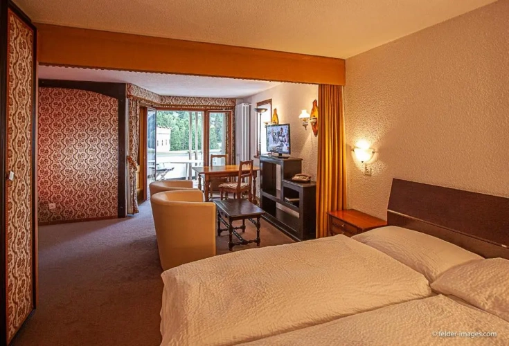 Standard Single Basement room with balcony and with view