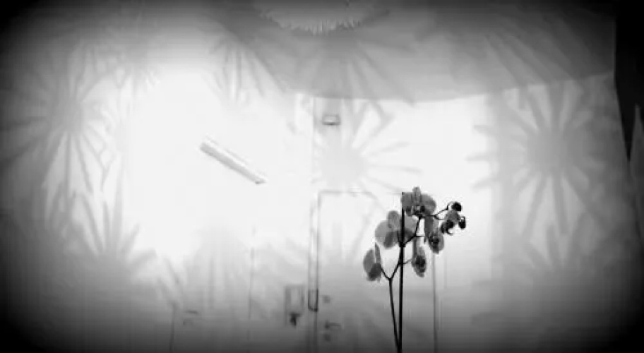 yHome | Barletta Home Apartment